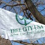 arbor-day-2011-015